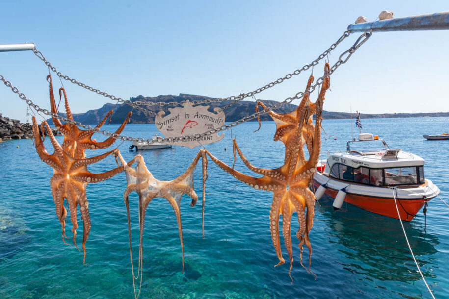 Amoudi Bay à Oia