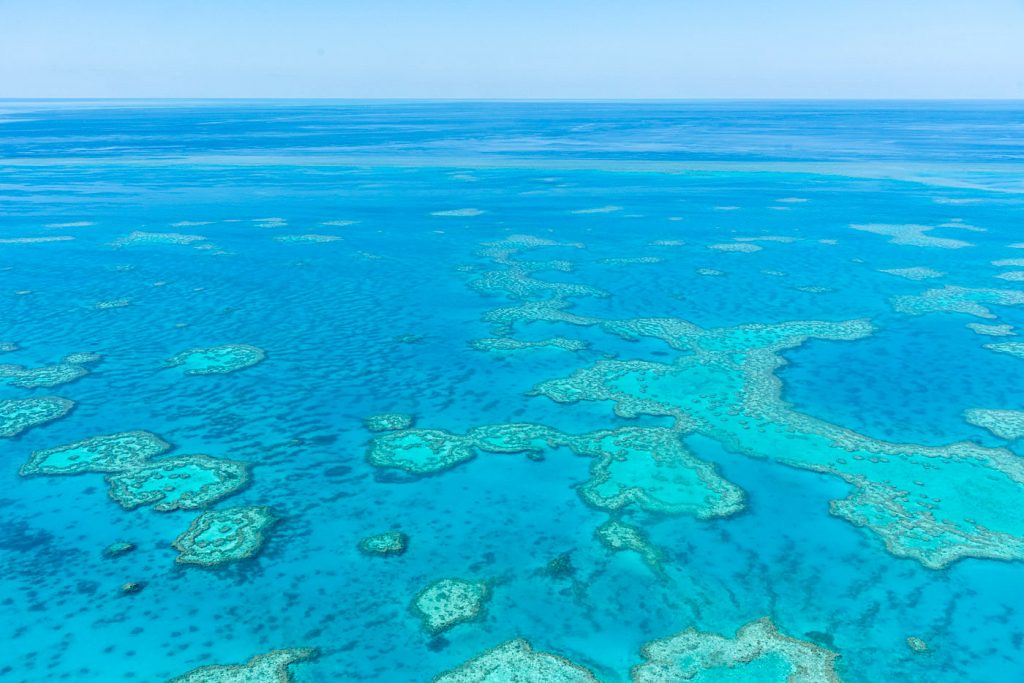 Visiter La Grande Barrière De Corail En Australie