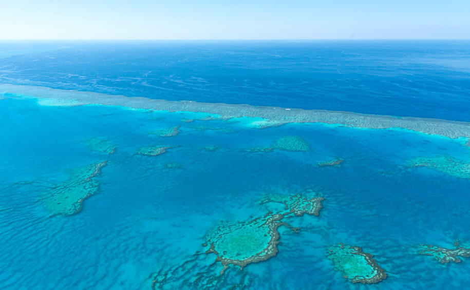 Visiter La Grande Barrière De Corail En Australie