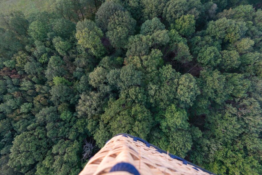 Survol d'une forêt lors d'un vol en montgolfière à Chenonceau